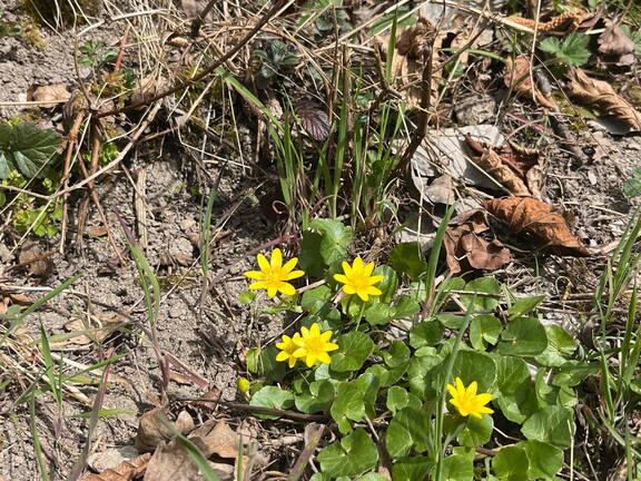 25-03-21 12-40-49 2488